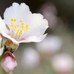 Test Recurrence 7.0
